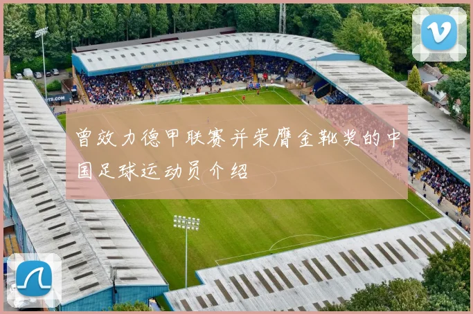 曾效力德甲联赛并荣膺金靴奖的中国足球运动员介绍