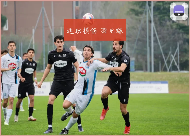 运动损伤 羽毛球